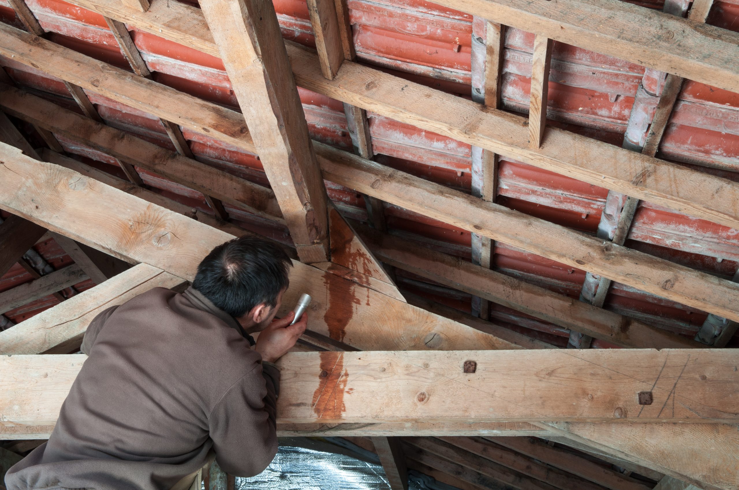 spotting a commercial roof leak